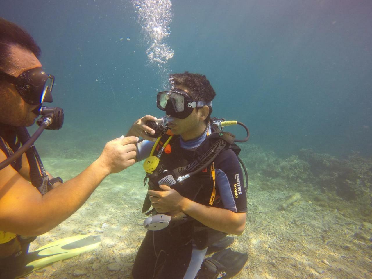 Blue Shark Divers บูนาแกน ภายนอก รูปภาพ