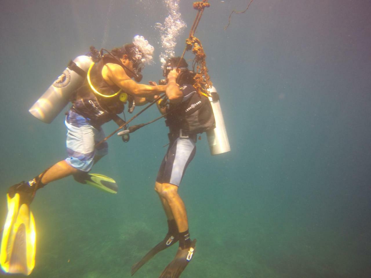 Blue Shark Divers บูนาแกน ภายนอก รูปภาพ